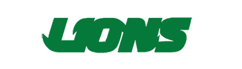 Lions – Professional CCTV Surveillance Equipment Manufacturer from China